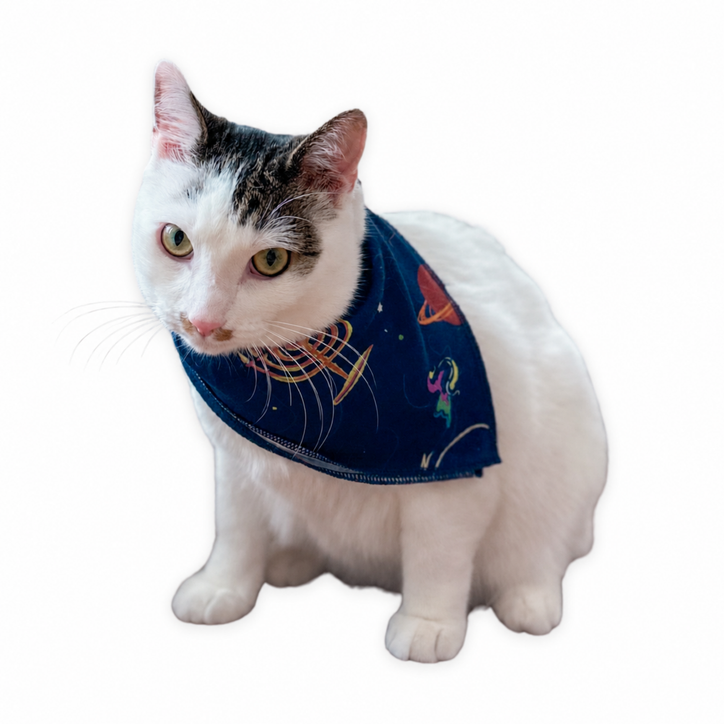 Pet Hanukkah Space Bandanas