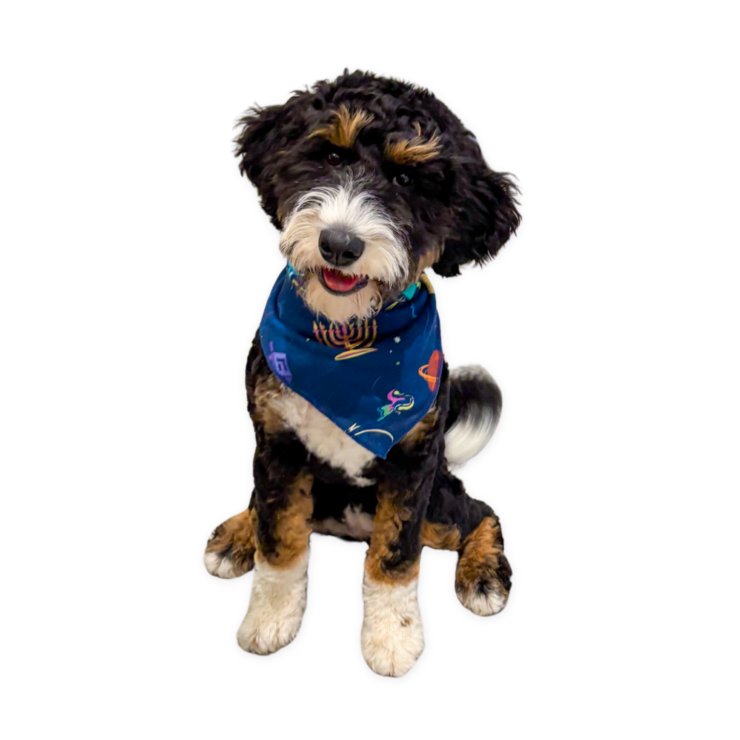 Pet Hanukkah Space Bandanas