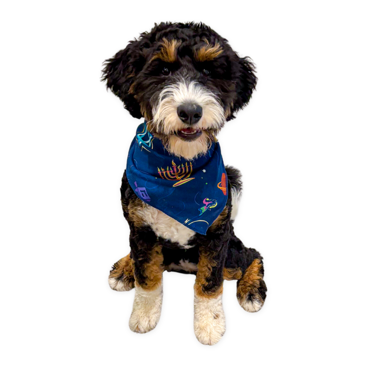 Pet Hanukkah Space Bandanas