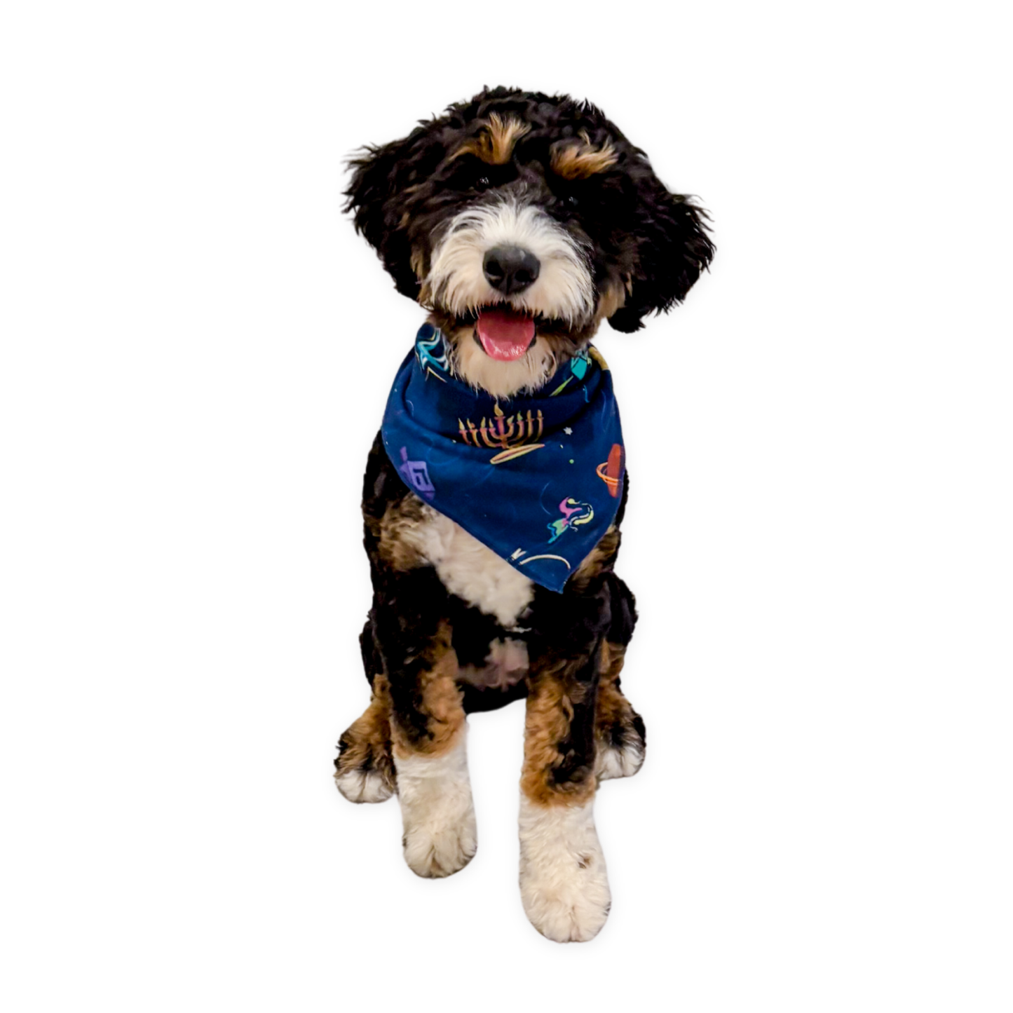 Pet Hanukkah Space Bandanas