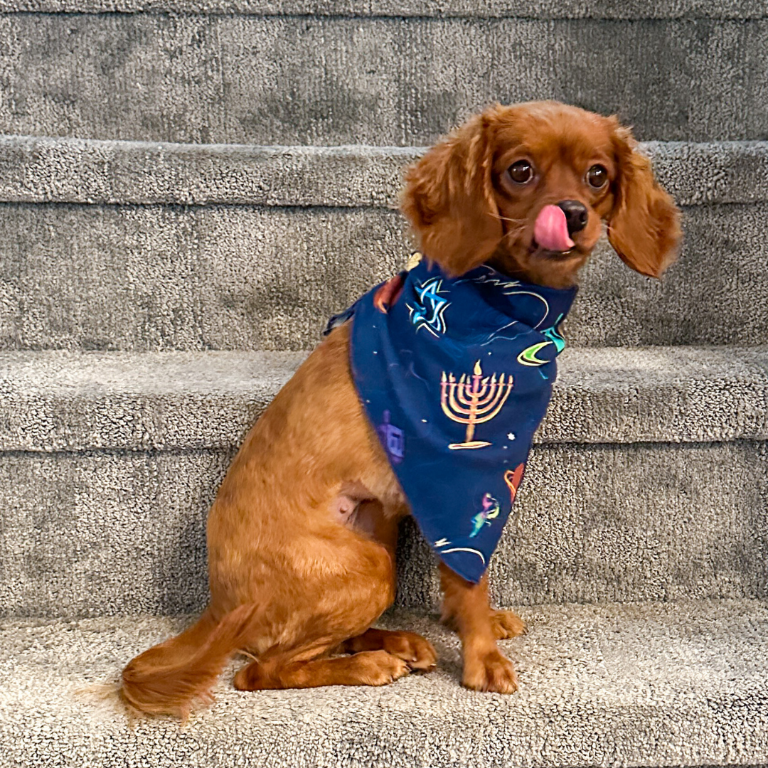 Pet Hanukkah Space Bandanas