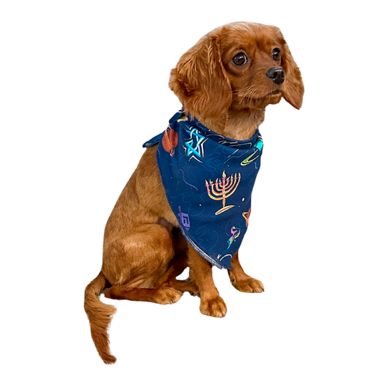 Pet Hanukkah Space Bandanas